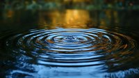 Concentric ripples expanding outward on dark water surface with golden sunlight reflection creating mesmerizing pattern of circles and waves.