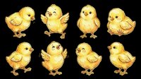 Cute yellow baby chicks set in various poses, isolated on transparent background. Great for Easter clipart, stickers, t-shirt design, print on demand, and sublimation projects.