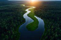 Meandering river curves through dense forest landscape at sunset, aerial drone view showing pristine wilderness and natural water flow patterns in green surroundings.