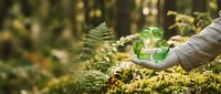 Hand holding green recycling symbol in lush forest environment with ferns and moss, representing environmental conservation and sustainable living practices.