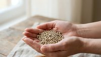Hands holding handful of small beige pellets or granules, suitable for agriculture, food production, supplements, or industrial material concepts.