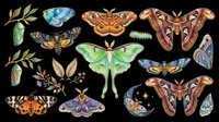 Butterfly and moth collection with botanical elements, isolated on transparent background. Ready for clipart, t-shirt design, stickers, sublimation, print-on-demand products and digital crafts.