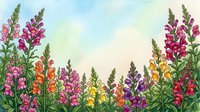 Colorful snapdragon flowers in full bloom painted in watercolor style, forming a vibrant floral border with copy space on pastel background.