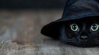 Black cat with bright green eyes wearing dark hat peeking from bottom edge, close-up portrait on wooden background with shallow depth of field.