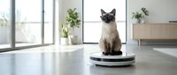 Siamese cat sitting on robotic vacuum cleaner in modern minimalist living room with large windows and houseplants creating smart home automation concept.