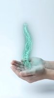 Holographic spine floating above cupped hands showing spinal care and orthopedic health concept for medical technology and healthcare innovation.