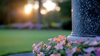 Delicate pink begonia flowers bloom around garden light post base at sunset, creating dreamy bokeh effect with soft blurred background and warm evening glow.