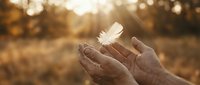 Hands releasing white feather in golden sunlight, symbolizing freedom, hope, and new beginnings for spiritual, wellness, and inspirational projects.