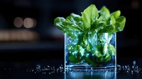 Fresh green arugula leaves in clear glass container with water droplets and bokeh lights creating magical atmosphere on dark background.