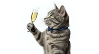 Tabby cat holding champagne flute against white background, celebrating with sparkling wine, perfect for festive occasions and humorous greeting cards.