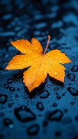Vibrant orange maple leaf covered in raindrops against dark blue wet surface creates dramatic autumn mood for seasonal nature photography and design projects.