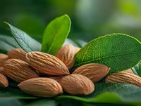 Fresh raw almonds scattered on green leaves with natural sunlight and soft bokeh background, macro food photography for healthy eating and nutrition concept.