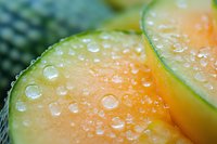 Fresh cantaloupe melon slices with water droplets in macro view showing juicy orange flesh and green rind, natural organic produce background.