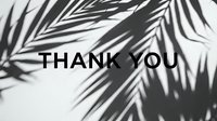 Thank you text on white background with tropical palm leaf shadows, minimal black and white design for greeting cards and social media.