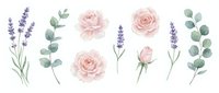 Watercolor floral elements set with pink roses, lavender sprigs and eucalyptus branches isolated on transparent background for wedding invitations and crafts.