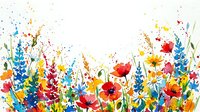Colorful wildflower meadow watercolor border with vibrant poppies, daisies, and lupines on white background, copy space for text.