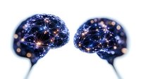 Glowing neural network brain shapes with connecting dots and lines on dark background, concept of artificial intelligence and machine learning technology.