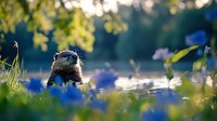 Small striped chipmunk sitting on wooden log surrounded by purple wildflowers in sunny forest clearing with natural bokeh background.