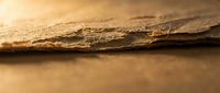 Close-up macro view of weathered wood grain texture with natural brown tones and rustic surface details for carpentry and construction projects.