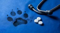 Stethoscope with paw print and white pills on blue surface, representing veterinary medicine and pet healthcare treatment options.