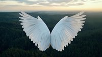 White angel wings spread against dramatic forest landscape and sunset sky background, symbolizing freedom, spirituality and hope. Artistic nature photography composition.
