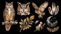 Owl collection with feathers, oak leaves, and forest scene isolated on transparent background, ready for t-shirt design, clipart, stickers, sublimation, and print-on-demand projects.