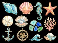 Watercolor ocean clipart set with shells, seahorse, starfish, anchor, compass, coral, and wave, isolated on transparent background for t-shirts and print on demand.