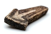 Fossilized piece of ancient wood showing detailed grain texture and natural weathering patterns on white background, preserved organic material specimen.