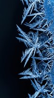 Intricate ice crystals and frost formations create stunning winter patterns on dark background for seasonal designs and cold weather concepts.