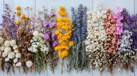 Colorful dried flowers and herbs arranged in rows on rustic wooden background, including lavender, baby's breath, strawflower and wildflowers in purple, yellow and white tones.