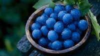 Fresh ripe blue grapes with water drops in wooden bowl on dark rustic background, green leaves and natural lighting for wine and harvest concept.
