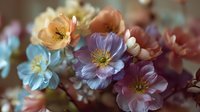 Delicate pastel anemone flowers in soft focus with peach, lavender, and blue petals creating a dreamy floral arrangement for greeting cards or wedding invitations.