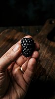 Fresh blackberry held in hand against rustic wooden background, showcasing ripe dark fruit for food, agriculture, and harvest concepts.