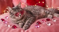 Adorable tabby kitten wearing heart-shaped sunglasses lying on pink fabric with scattered heart gems and warm bokeh lights for Valentine's Day celebration.