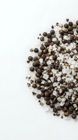 Mixed peppercorns and coarse sea salt scattered on white background for culinary seasoning and cooking applications.
