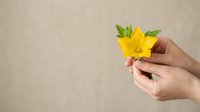 Close-up of hands holding a bright yellow flower with green leaves against neutral background, symbolizing nature, growth, and environmental care for design projects.