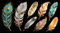 Decorative feathers with ornamental patterns isolated on transparent background, ready for t-shirt design, clipart, stickers, sublimation and print-on-demand projects.