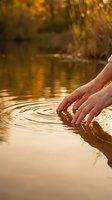 Caucasian male hands touching calm water creating ripples in natural pond or stream with golden autumn foliage reflected in background, suitable for wellness and nature themes.
