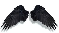 Black angel wings isolated on white background with detailed feathers for fantasy design projects and creative artwork applications.