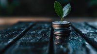 Small green plant sprout growing from stack of coins on dark wooden surface, symbolizing financial growth, investment and wealth management concept.