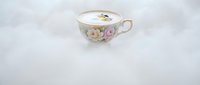 Vintage porcelain teacup with floral rose design and gold trim, isolated on white background for design and decorative projects.