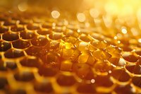 Fresh honeycomb cells filled with golden honey glowing in warm sunlight with natural bokeh effect, macro close-up showing detailed hexagonal pattern structure.