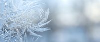 Delicate frost crystals form intricate feathery patterns on glass surface creating winter wonderland scene with soft blurred background for seasonal designs.