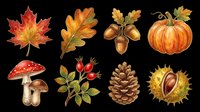 Autumn nature clipart set with maple leaf, oak leaf, acorns, pumpkin, mushrooms, rosehip, pine cone, and chestnut, isolated on transparent background for seasonal design use.