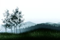 Misty mountain landscape at dawn with silhouettes of tall birch trees on grassy hill, layered mountain ranges fade into foggy distance in blue tones.