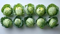 Fresh green cabbage heads arranged in two neat rows on white background, showing natural texture and patterns of leaves. Isolated produce for culinary and food design.