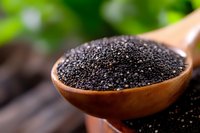 Black poppy seeds in wooden spoon against blurred natural background, macro food photography highlighting texture and nutritional superfood ingredients.