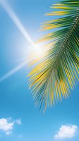 Sunlight streaming through vibrant palm frond against bright blue summer sky with white fluffy clouds, creating tropical vacation atmosphere.