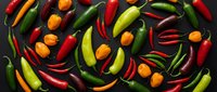 Colorful assortment of fresh hot chili peppers in various shapes and sizes arranged on dark background. Spicy cooking ingredients for Mexican cuisine.