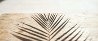 Tropical palm leaf shadow cast on weathered wooden surface, creating geometric linear patterns for natural light and botanical design projects.